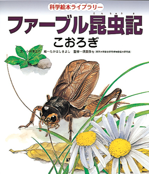 ファーブル昆虫記 こおろぎ 文 小林清之介 絵 たかはしきよし ひさかたチャイルド